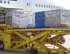 Globe Link International Movers