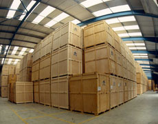 Globe Link International Movers