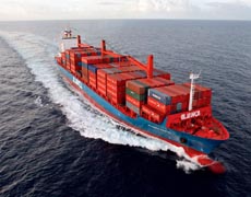 Globe Link International Movers